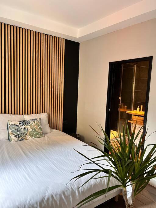 Appartement Cosy Centre Ajaccio Αζάτσιο Εξωτερικό φωτογραφία